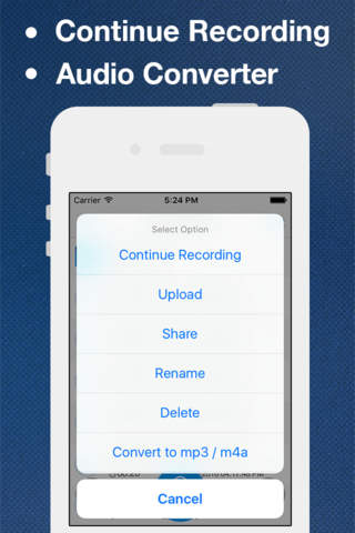 Audio Recorder & Voice Editor screenshot 3