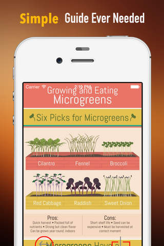 How to Grow Microgreen:Tips and Guide screenshot 2