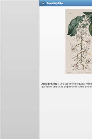 Perennial herbs screenshot 3