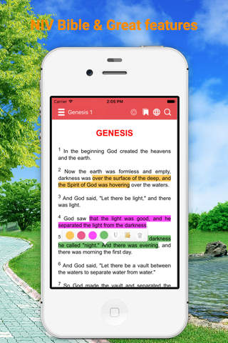 NIV Bible (Audio) Fire Study Bible tools screenshot 4