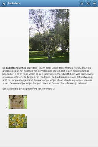 Directory of trees screenshot 2