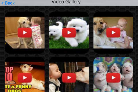Dog Video and Photo Gallery FREE screenshot 2
