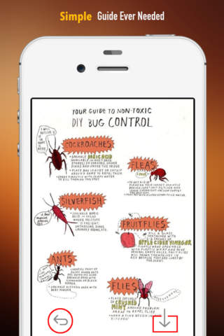 Home Pest Control 101: DIY Prevention Tips with Video Guide screenshot 2
