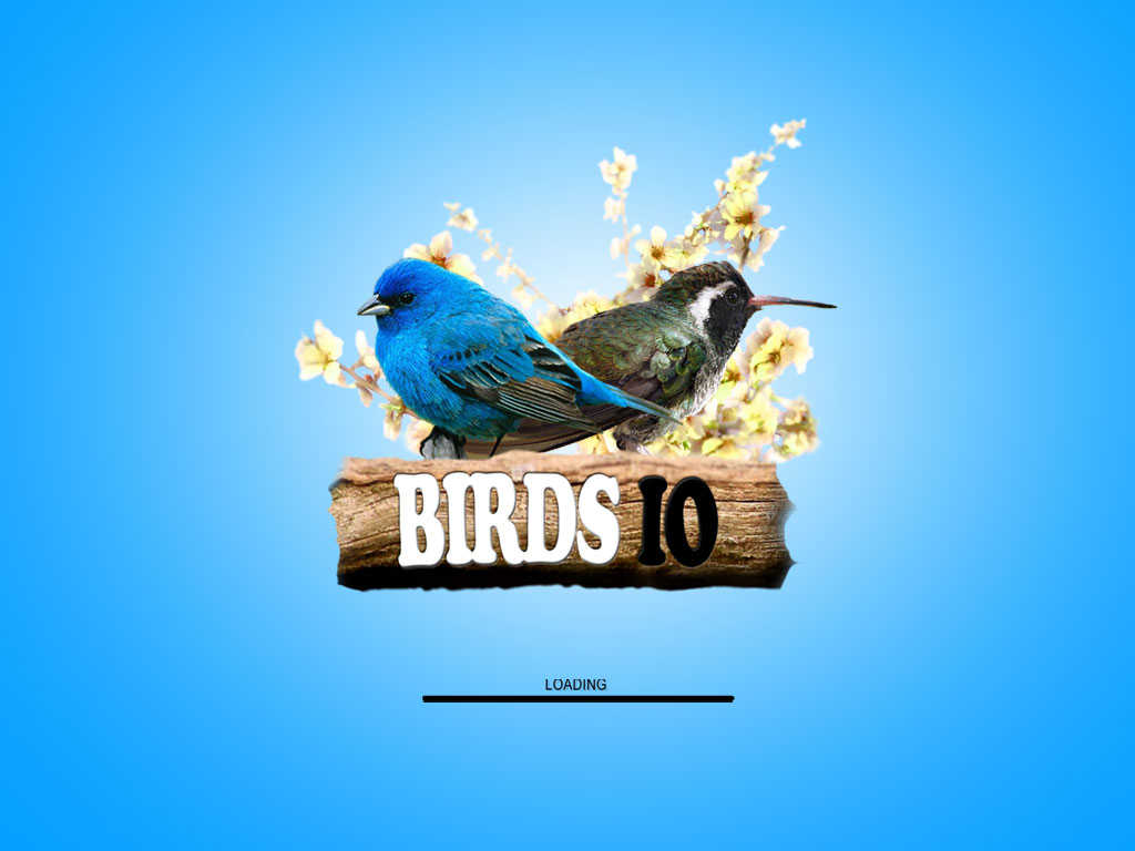bird io