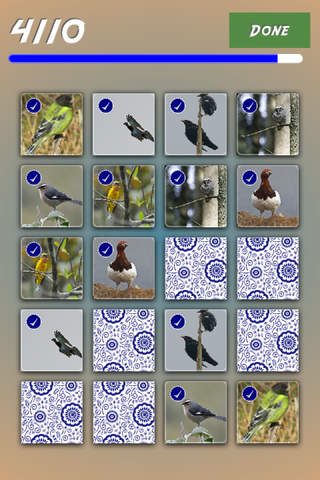 Birds Match Game screenshot 2