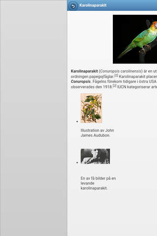 Directory of parrots screenshot 3