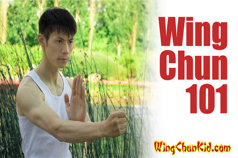 Jeet Kune Do JKD Ip Man Wing Chun Martial Arts screenshot 4