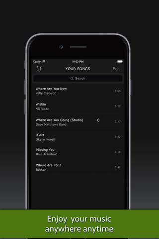 Pro Music Search Premium for Spotify screenshot 4