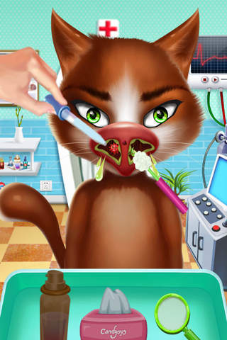 Cute Kitty's Nose Doctor——Pets Surgeon Salon screenshot 2