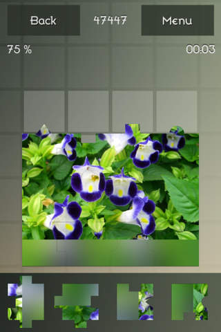 Pro Flowers Puzzle screenshot 4