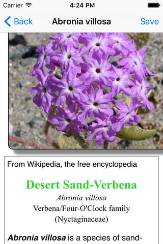 Death Valley Wildflower Search screenshot 4