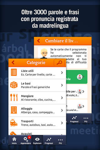 MosaLingua Imparare il tedesco screenshot 3