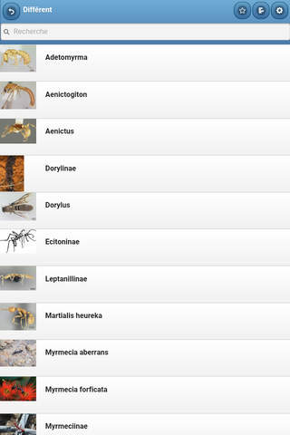 Directory of ants screenshot 2