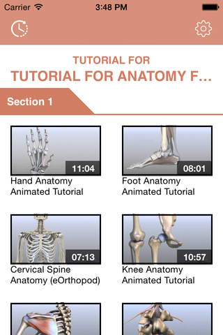 Anatomy for Beginners screenshot 2