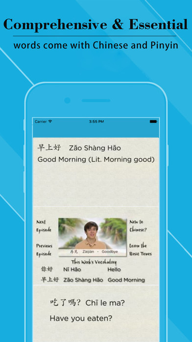 Quick and Easy Mandarin Chinese pinyin Lessons screenshot 2