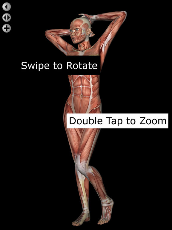App Shopper: 360 Anatomy for Artists HD: Female Figure (Reference)