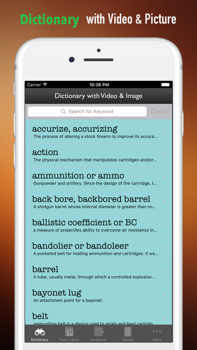 Fashion Dictionary|Glossary with Flashcard screenshot 4