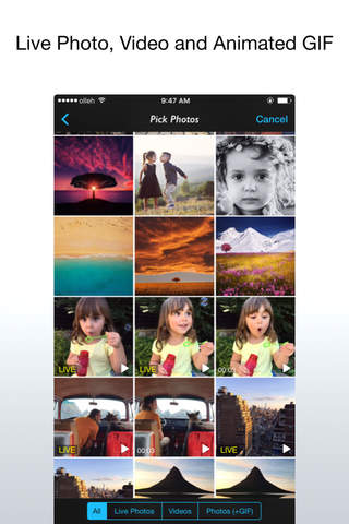 Live Layout for Live Photos, Videos and GIFs screenshot 2