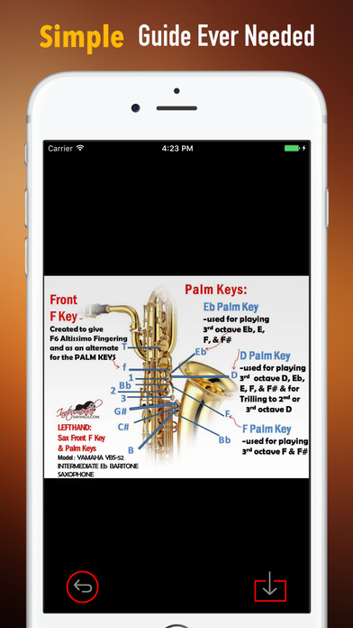 Saxophone for Beginners:Tips and Tutorial screenshot 2