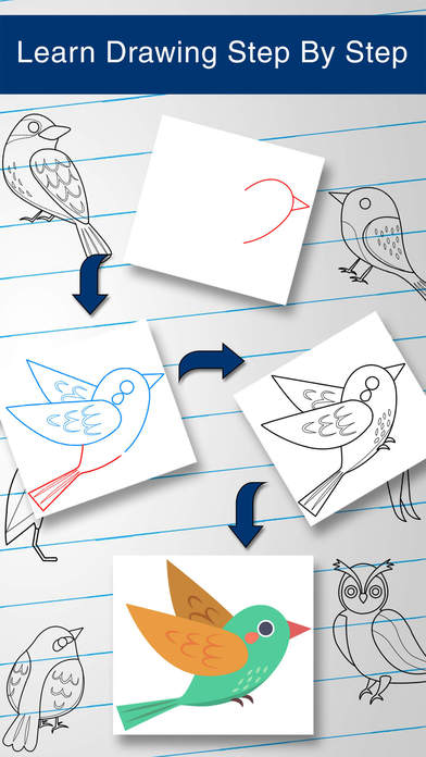 How to Draw Bird Drawing screenshot 4