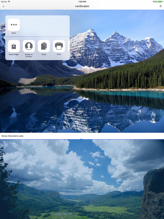 iPad Screenshot 4
