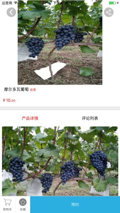河南生态农业网 screenshot 2