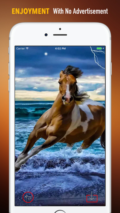 Paint Horse Wallpapers HD: Quotes and Art Pictures screenshot 2
