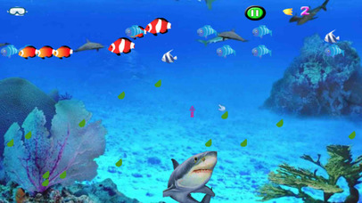 A Grand Shark:This Action Packed Aquatic Way screenshot 3