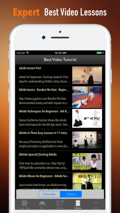 Aikido 101-Beginners Guide and Fitness Tutorial screenshot 3