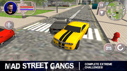 Mad Street Gangs Pro screenshot 4