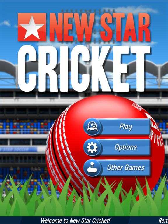 New Star Cricket на iPad