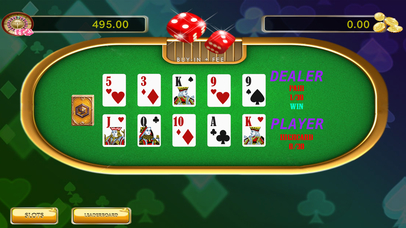 Sexy Vegas Casino: Best 2in1 Gambling & Big Coins screenshot 2