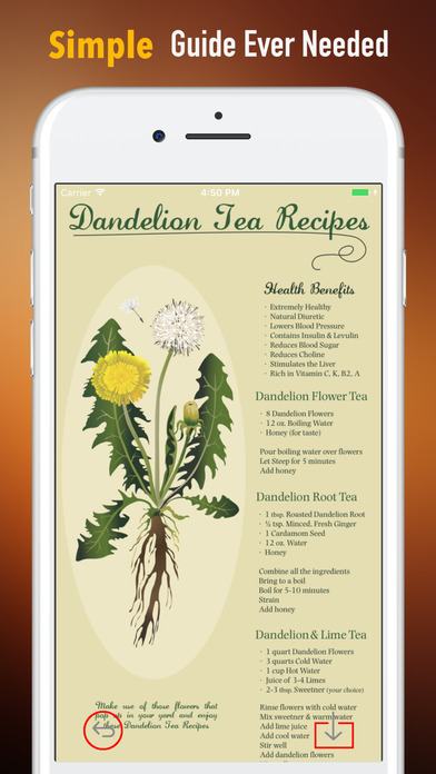 Dandelion Benefits-Healing Herbs and Health Guide screenshot 2