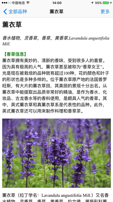 Aromatic Plants screenshot 3