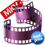 MKV Converter Master