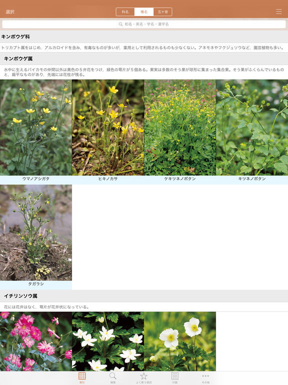 iPad Screenshot 1