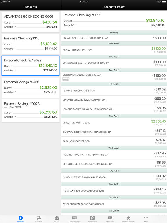 iPad Screenshot 1