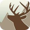 no app image