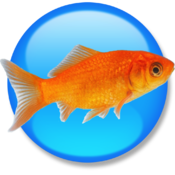 Goldfish 3 Standard Edition