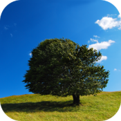 NatureWall