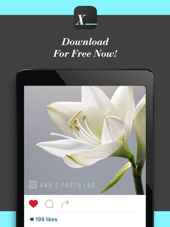 Screenshots of Watermark Studio X Free - Copyright & Trademark.s for iPad