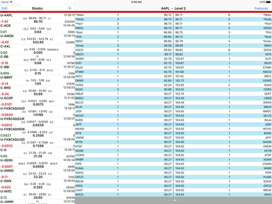 iPad Screenshot 4