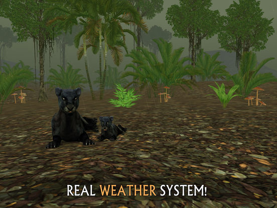 Wild Panther Sim 3D: Rainforest RPG Adventuresscreeshot 5