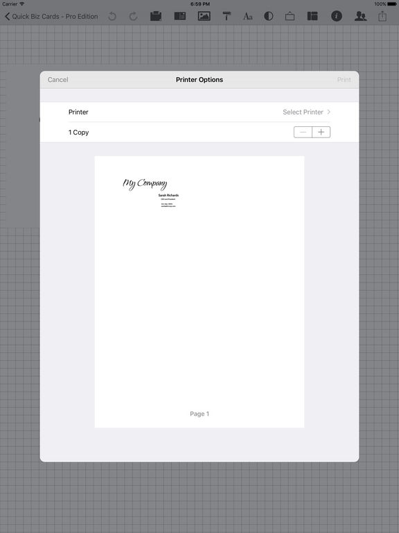 iPad Screenshot 5