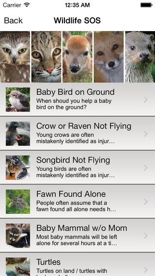 【免費教育App】Hope for Wildlife Edition-APP點子