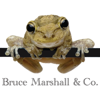 Bruce Marshall & Co LOGO-APP點子