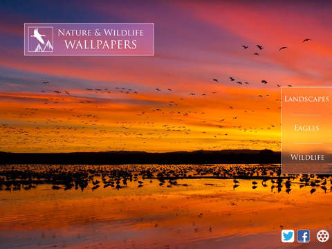 Nature and Wildlife Wallpapers