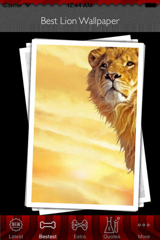 Best HD Lion Art Wallpapers for iOS 8 Backgrounds: Wild Animal Theme Pictures Collection screenshot 4