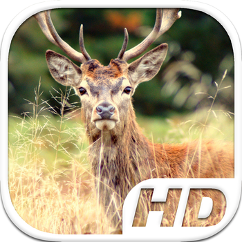 Stag Simulator HD Animal Life LOGO-APP點子