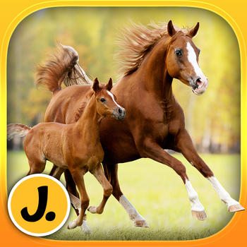 Cute Ponies and Beautiful Horses - puzzle game for little girls and preschool kids - Free 娛樂 App LOGO-APP開箱王